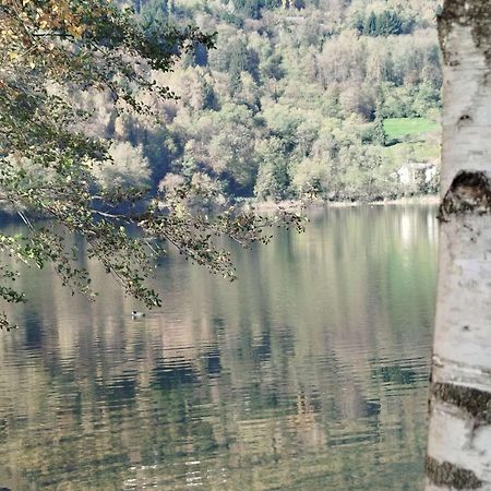 Casa Vacanza Da Nonna Elena Vattaro ภายนอก รูปภาพ
