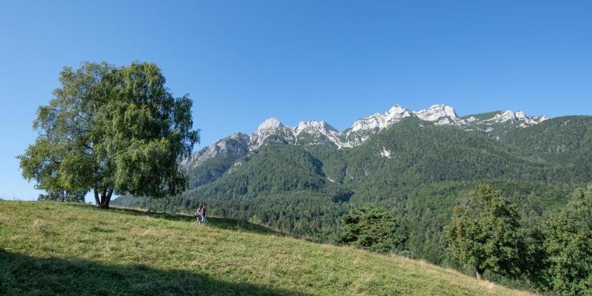 Casa Vacanza Da Nonna Elena Vattaro ภายนอก รูปภาพ