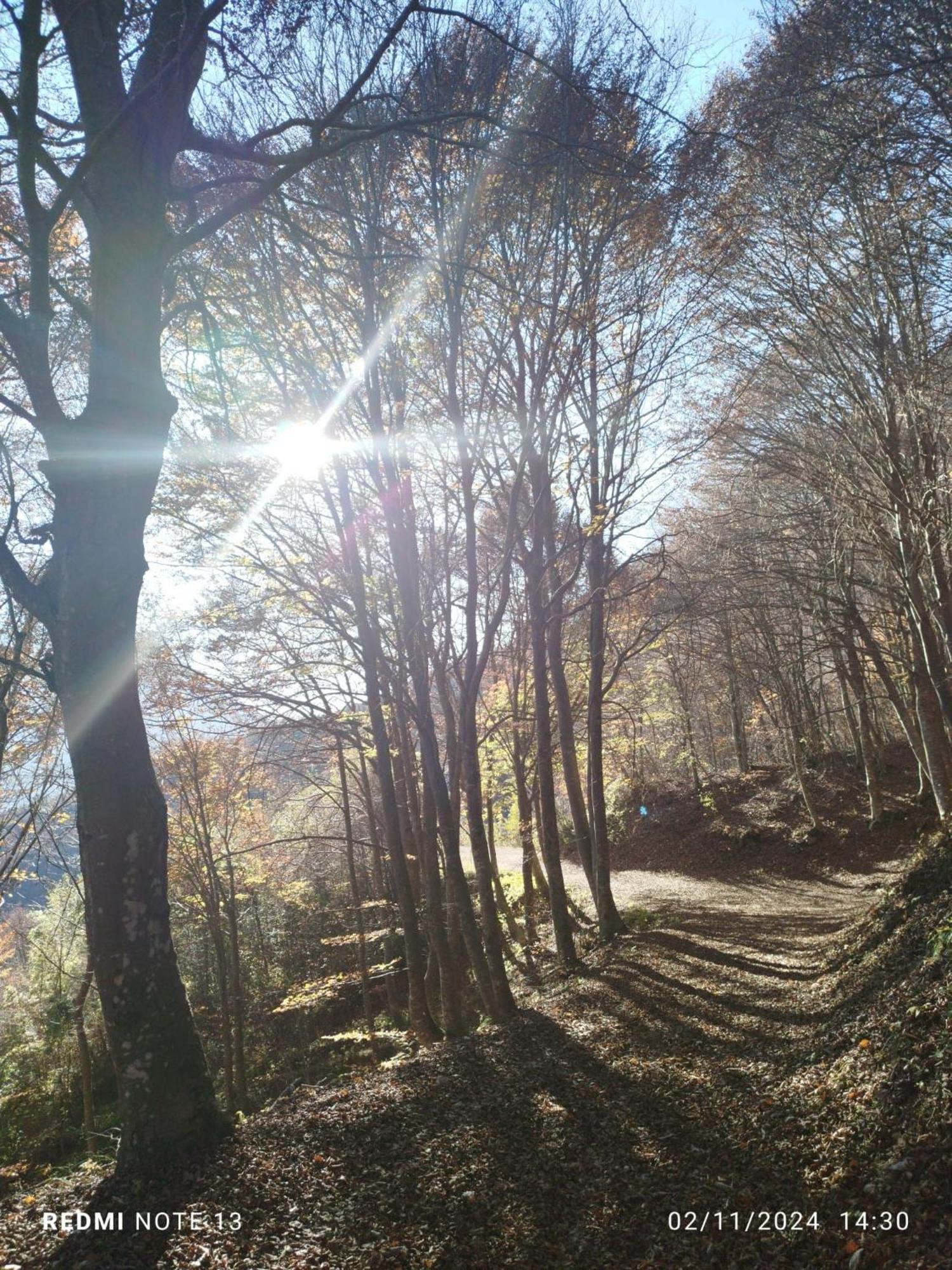 Casa Vacanza Da Nonna Elena Vattaro ภายนอก รูปภาพ